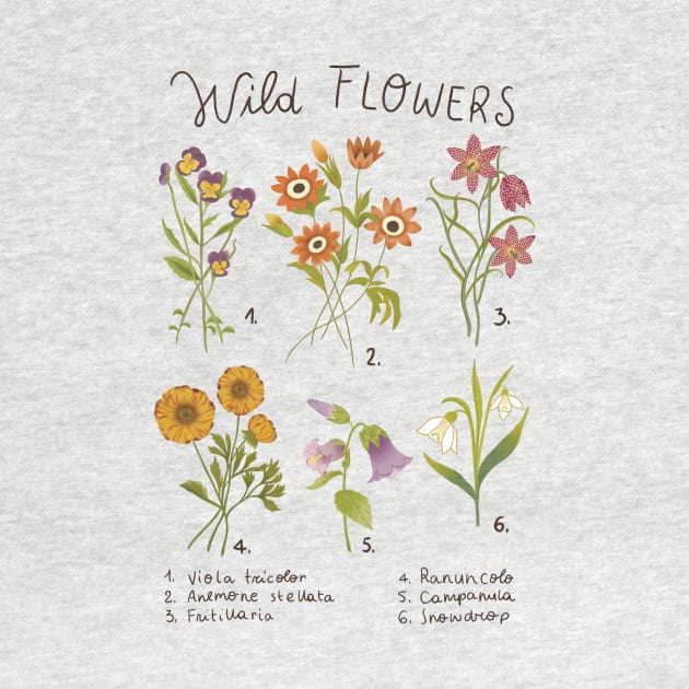 Wild flowers by Carlotta Illustration